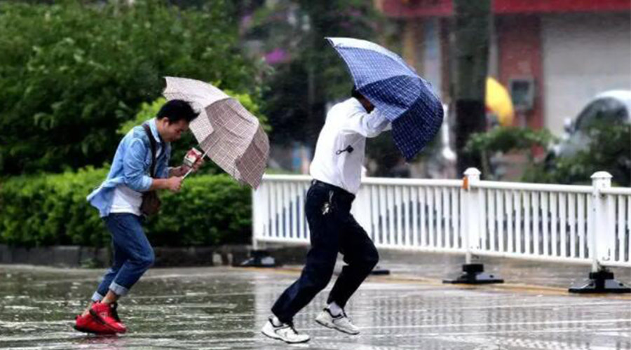 9號臺風“馬鞍”生成！金環電器提醒大家要注意的事項