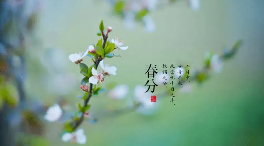 春分雨水多易生菌！金環電器提醒你衣物要注意處理